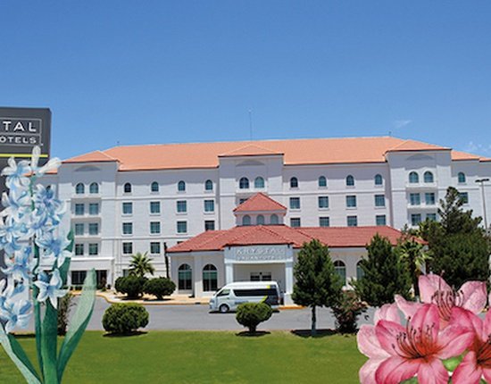 Spring is Here! Krystal Hotels & Resorts - 
