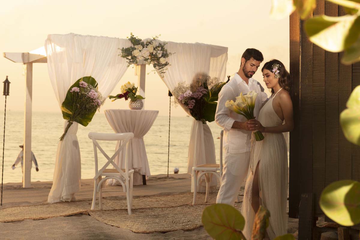 Casamento Grátis Casamento Grátis